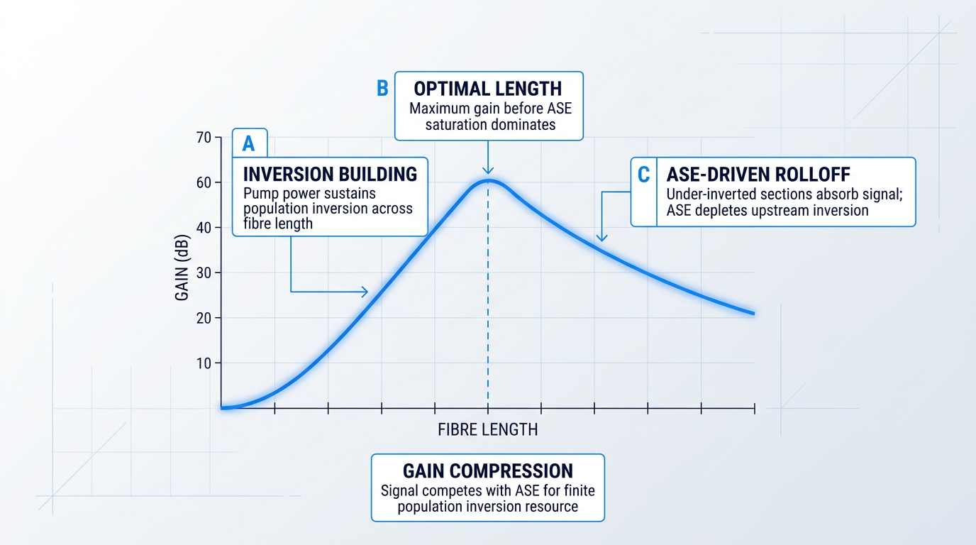 Technical graph showing gain curve versus fibre length, peaking at optimal length then rolling off due to ASE saturation, with three annotated regions explaining inversion building, optimal point, and ASE-driven rolloff.