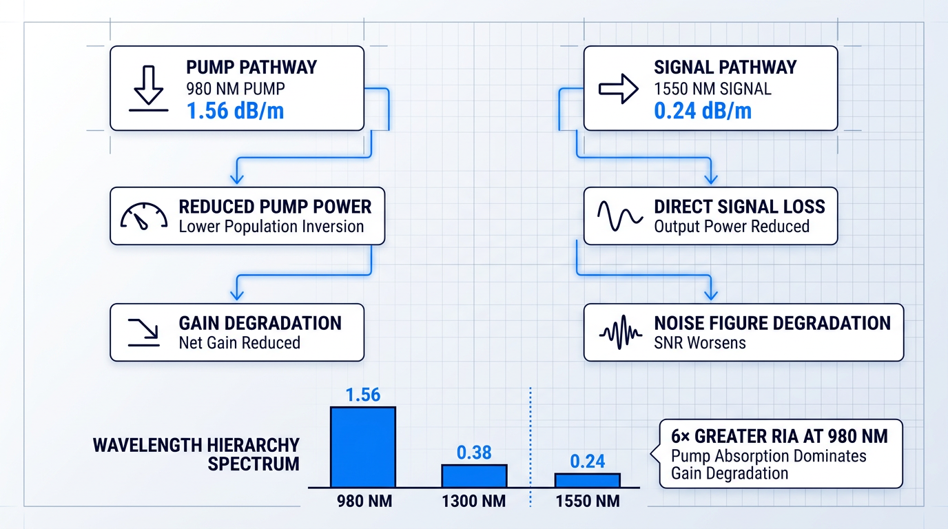 Dual-pathway RIA degradation diagram showing pump pathway (980 nm, 1.56 dB/m) reducing population inversion and gain, signal pathway (1550 nm, 0.24 dB/m) attenuating output power, with wavelength hierarchy bar chart demonstrating 6× greater RIA at pump wavelength.